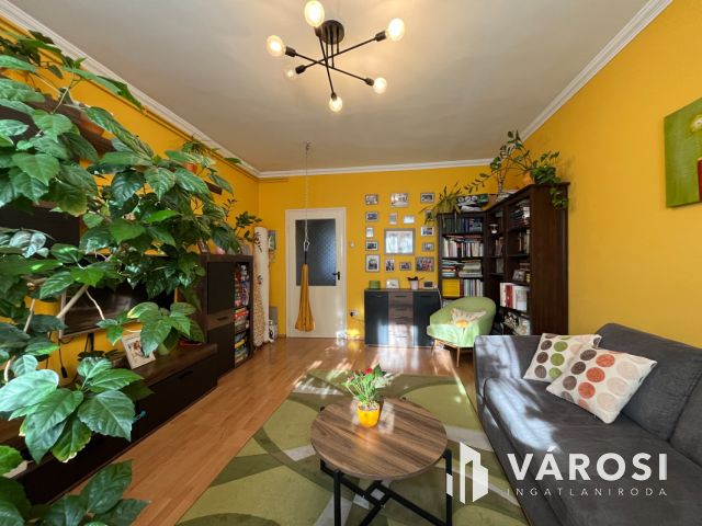 Debrecen Kertkapcsolatos Földszinti Lakás