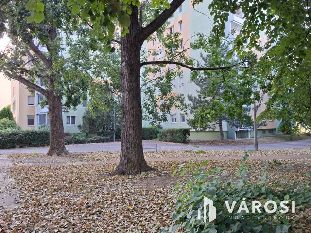 Eladó 42 m²-es lakás Veszprémben