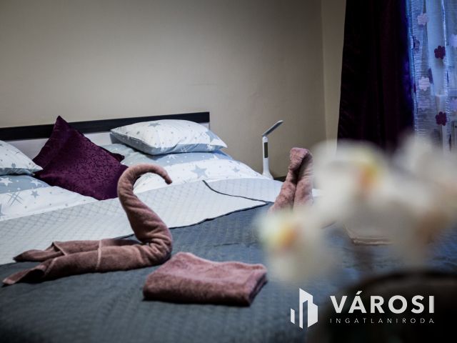 Bejáratott apartman saját vendégkörrel!