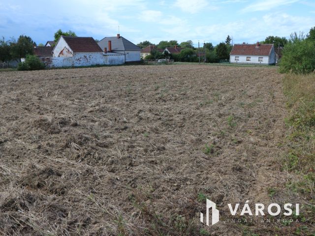 Vasalja, 2 db építési telek eladó (egybe is)1570m2+1598m2