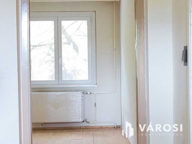 Szegeden a Vértónál, madárcsicsergős panel ajánalat.