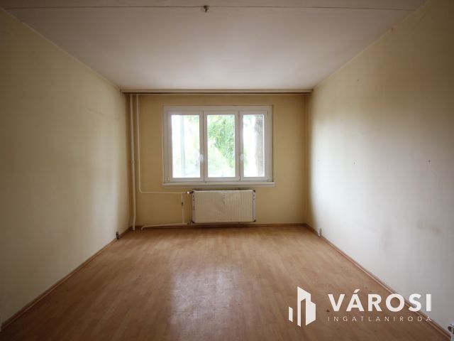 Szegeden a Vértónál, madárcsicsergős panel ajánalat.